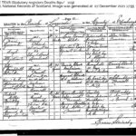 Death certificate of Jane Tear Grant (1911-1911)