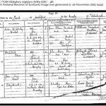 Birth certificate for Jane Tear Grant (1911-1911)