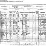 1891 census record for Janet Telford nee Tear and family