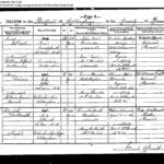 Janet Tear 1835-1896 death certificate
